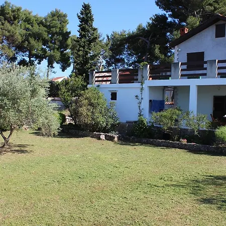 Pezzetina Mirce