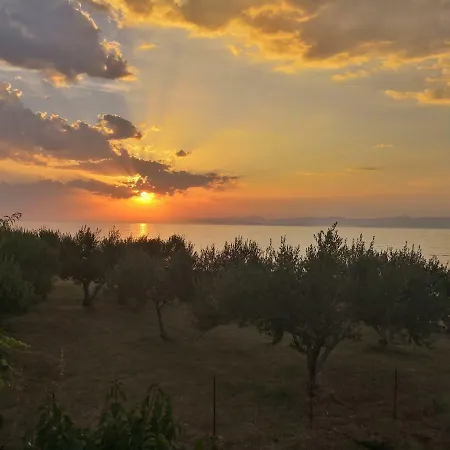 Pezzetina *