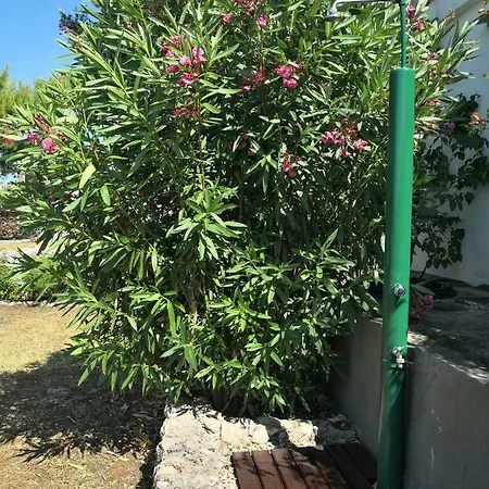 Pezzetina Mirce